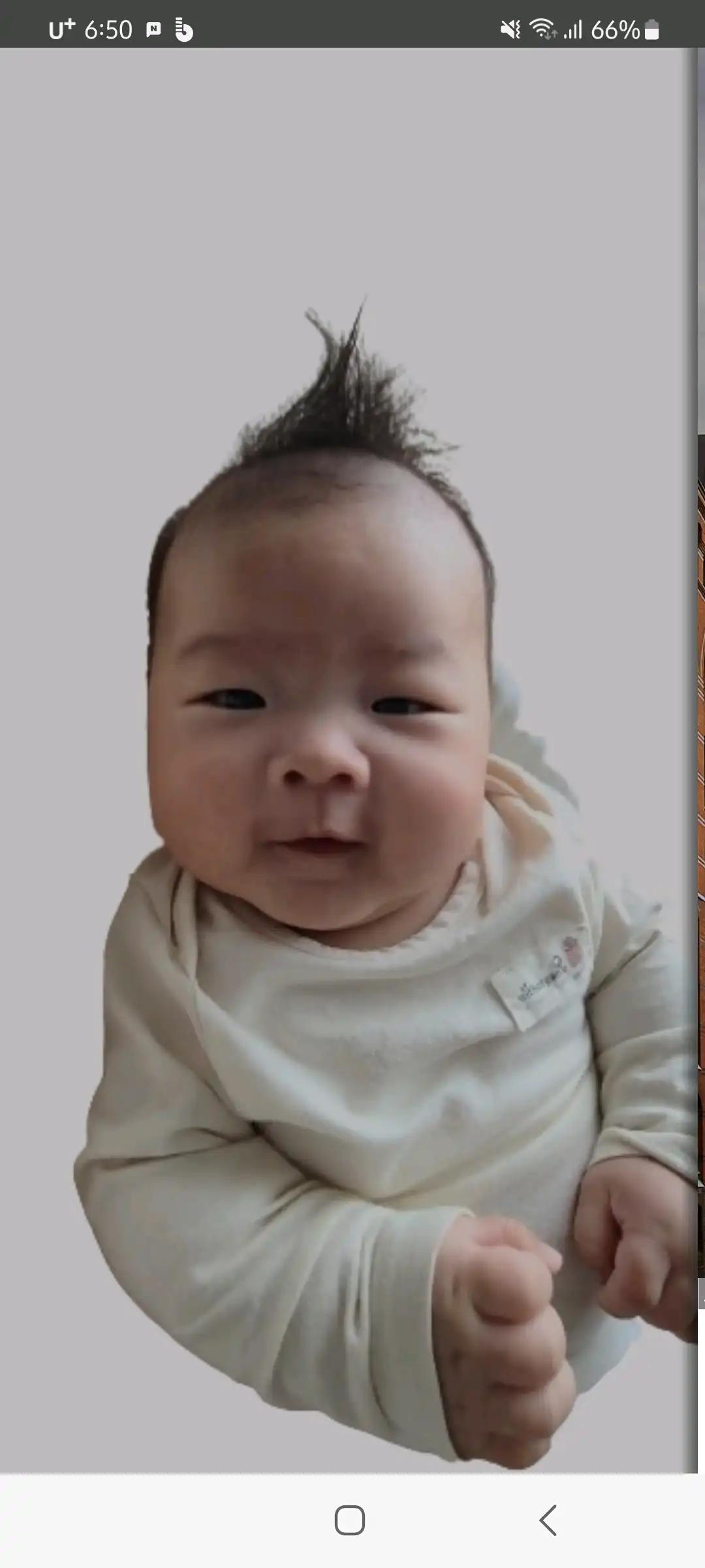 크루톡 이미지