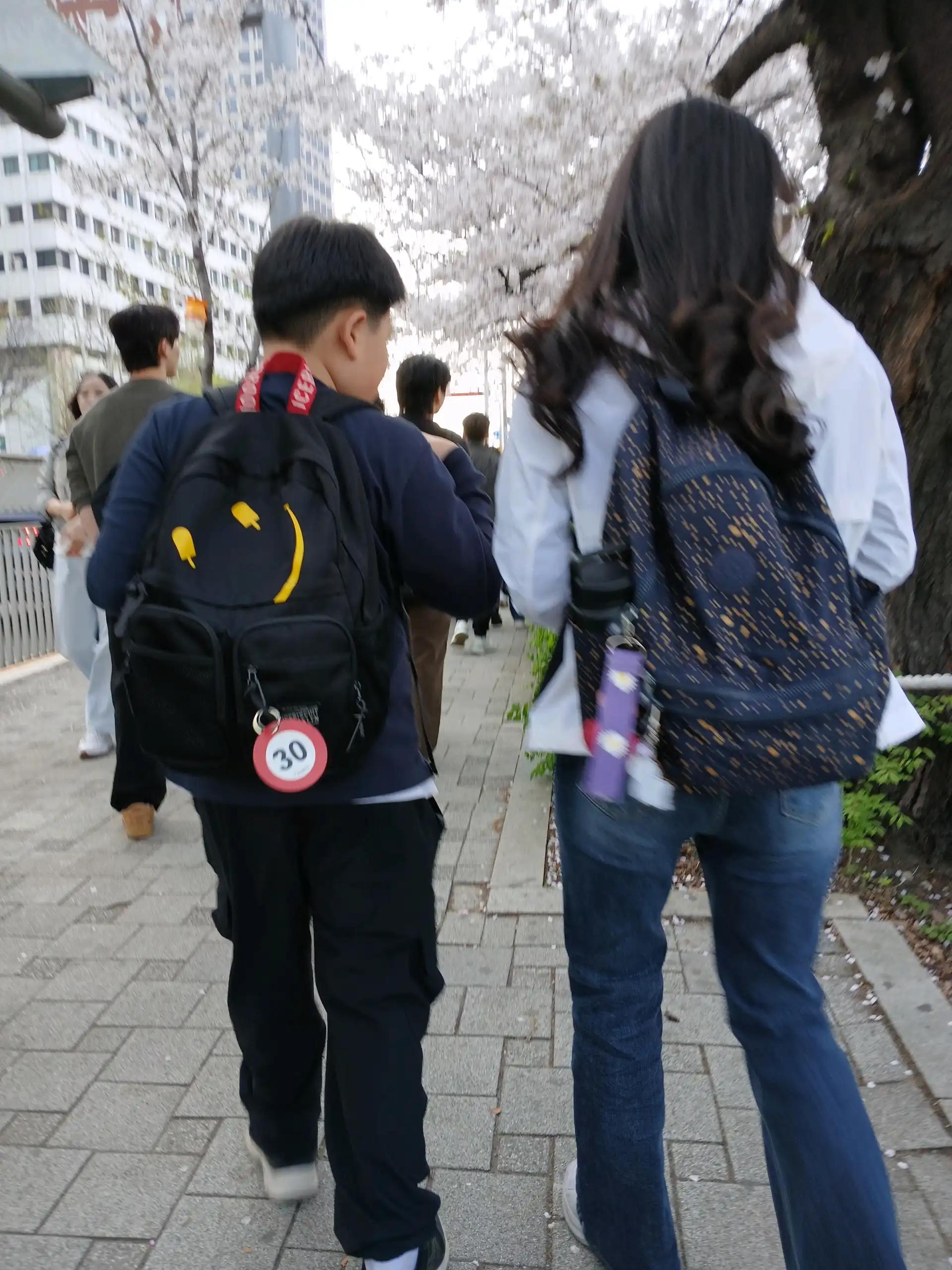 크루톡 이미지