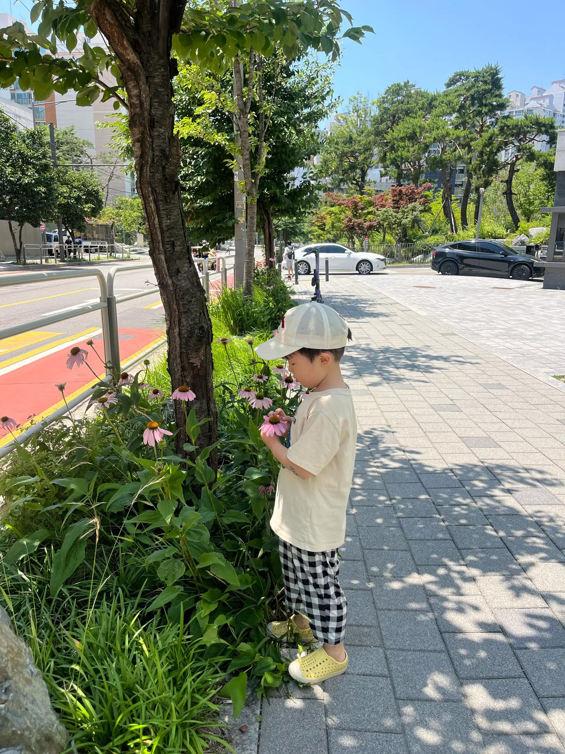 크루톡 이미지