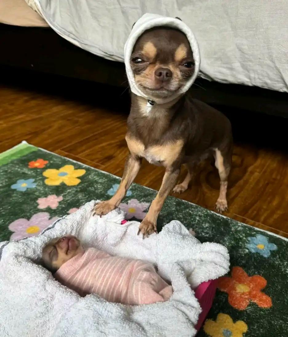 크루톡 이미지