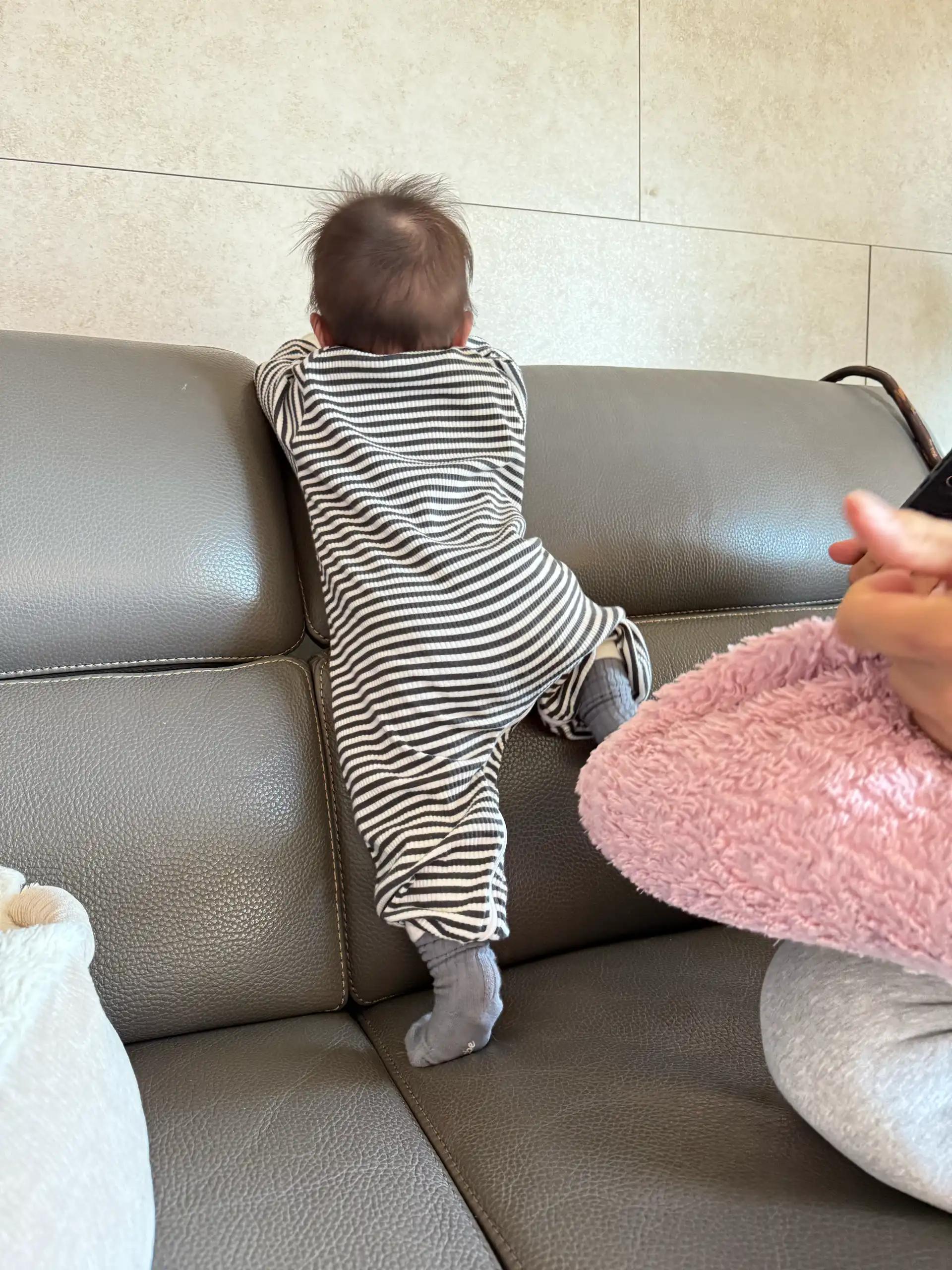 크루톡 이미지