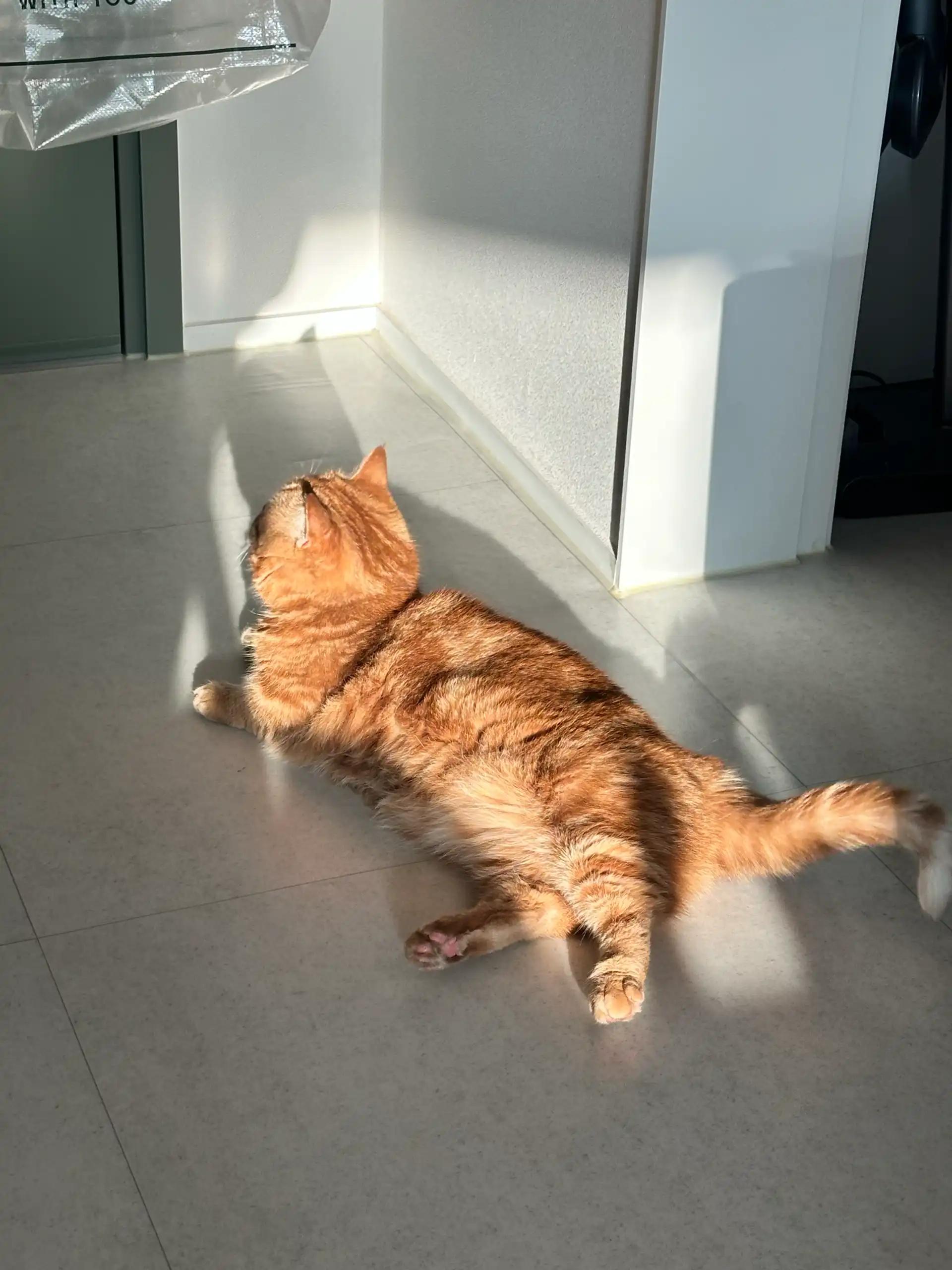 크루톡 이미지