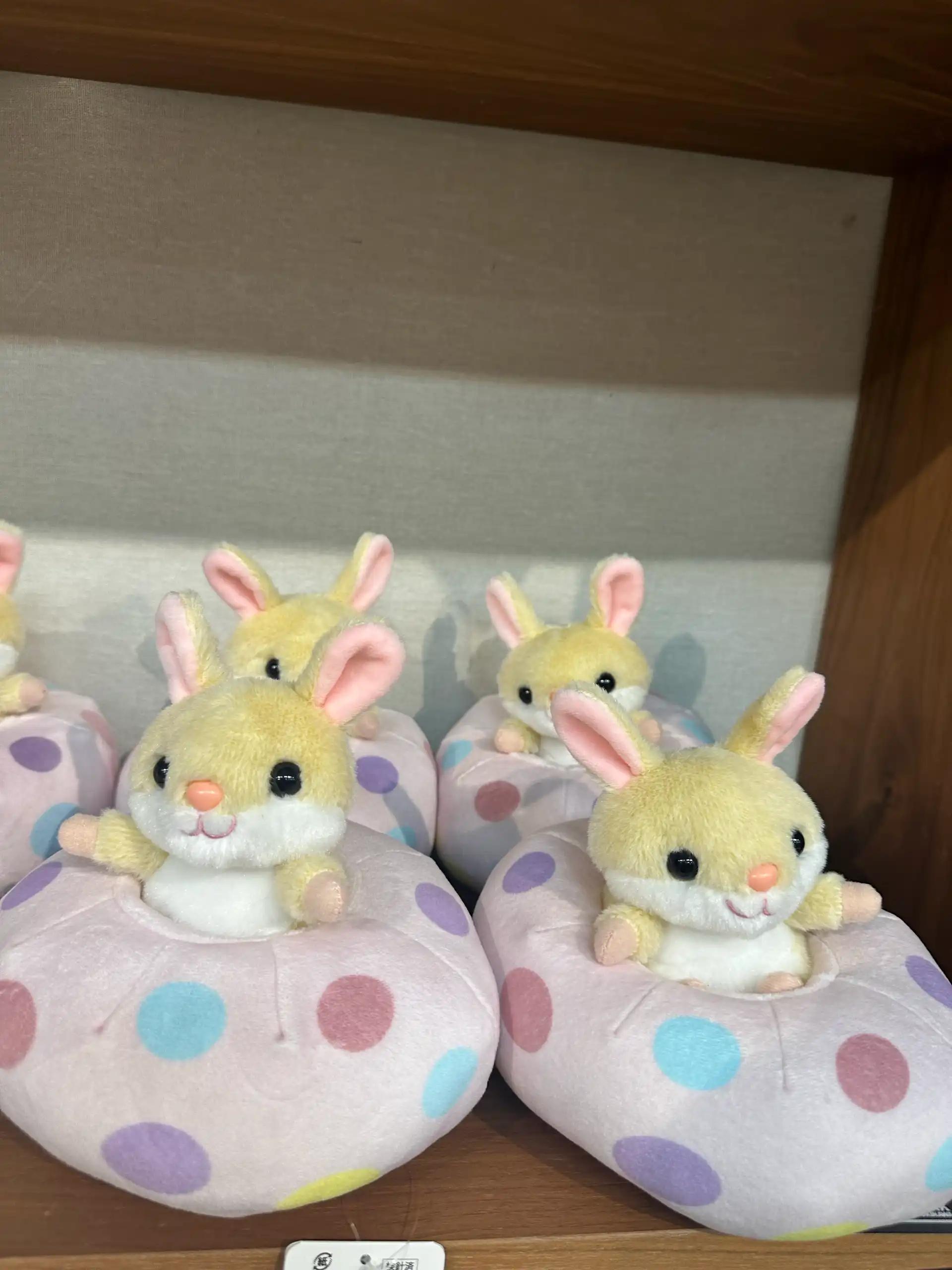 크루톡 이미지