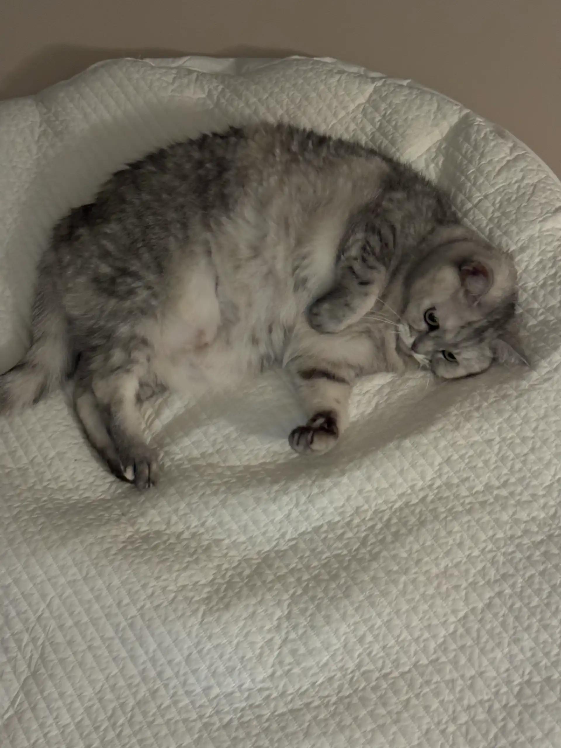 크루톡 이미지
