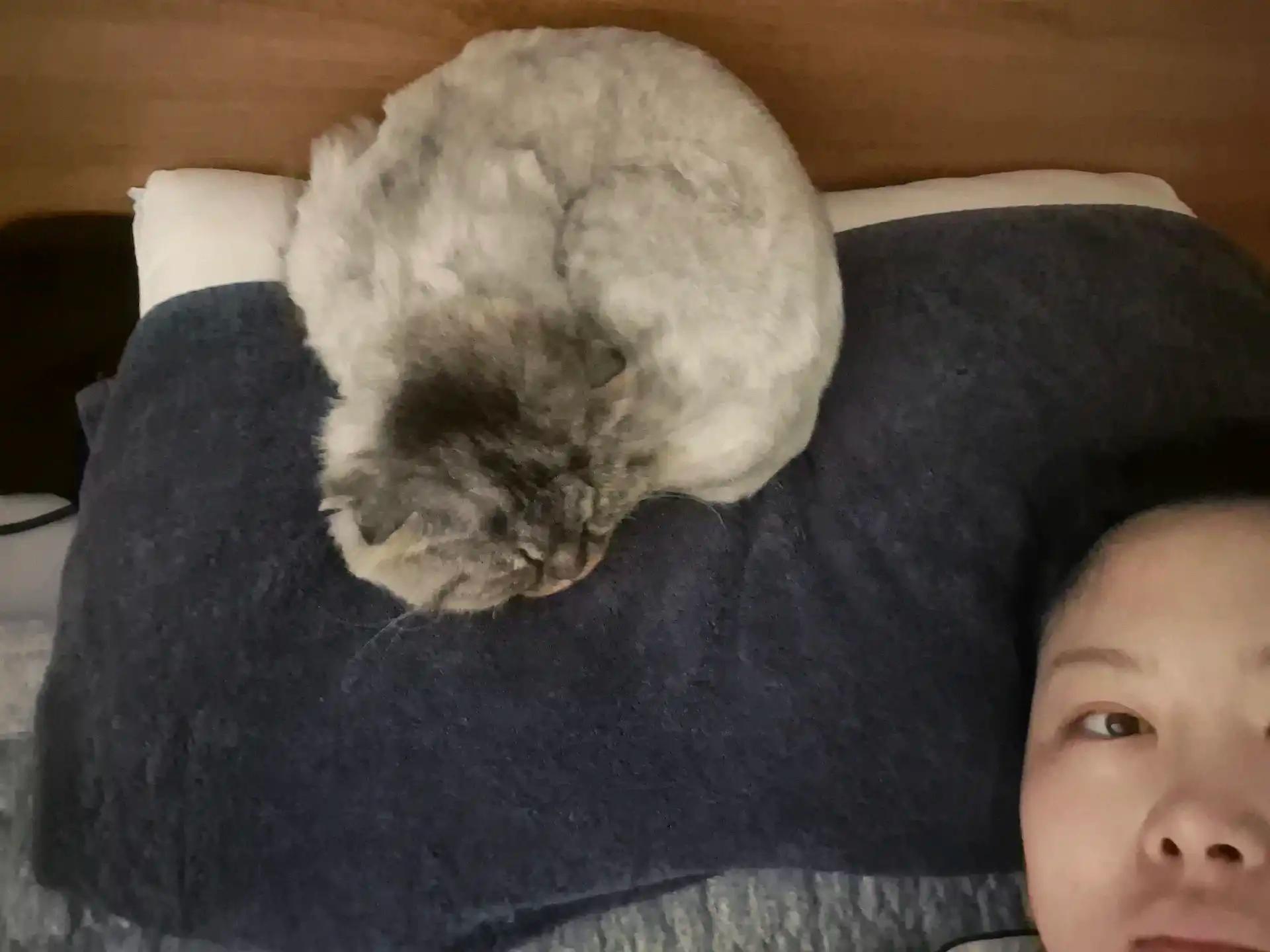 크루톡 이미지
