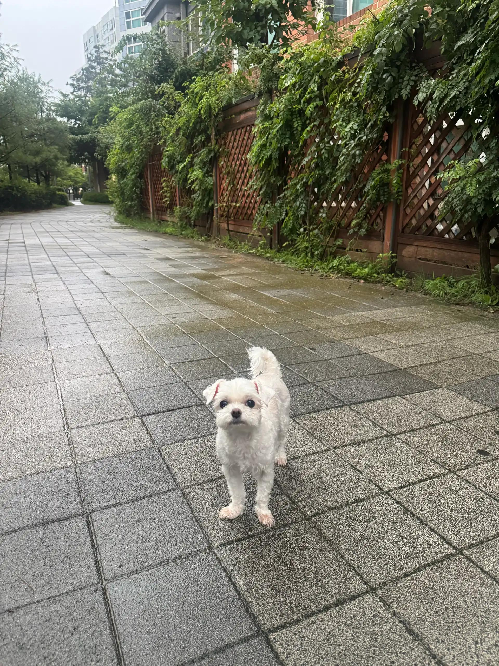크루톡 이미지