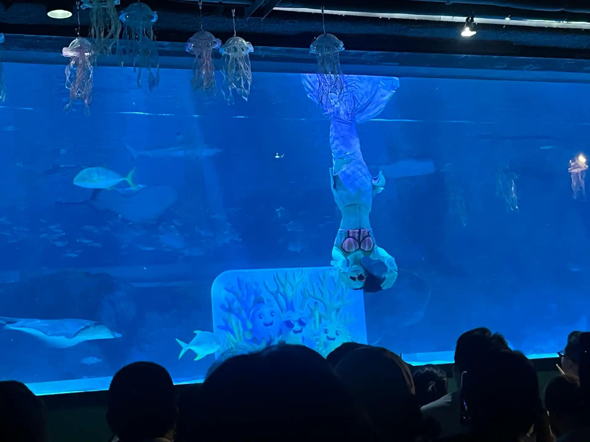 크루톡 이미지
