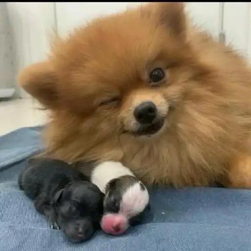 크루톡 이미지