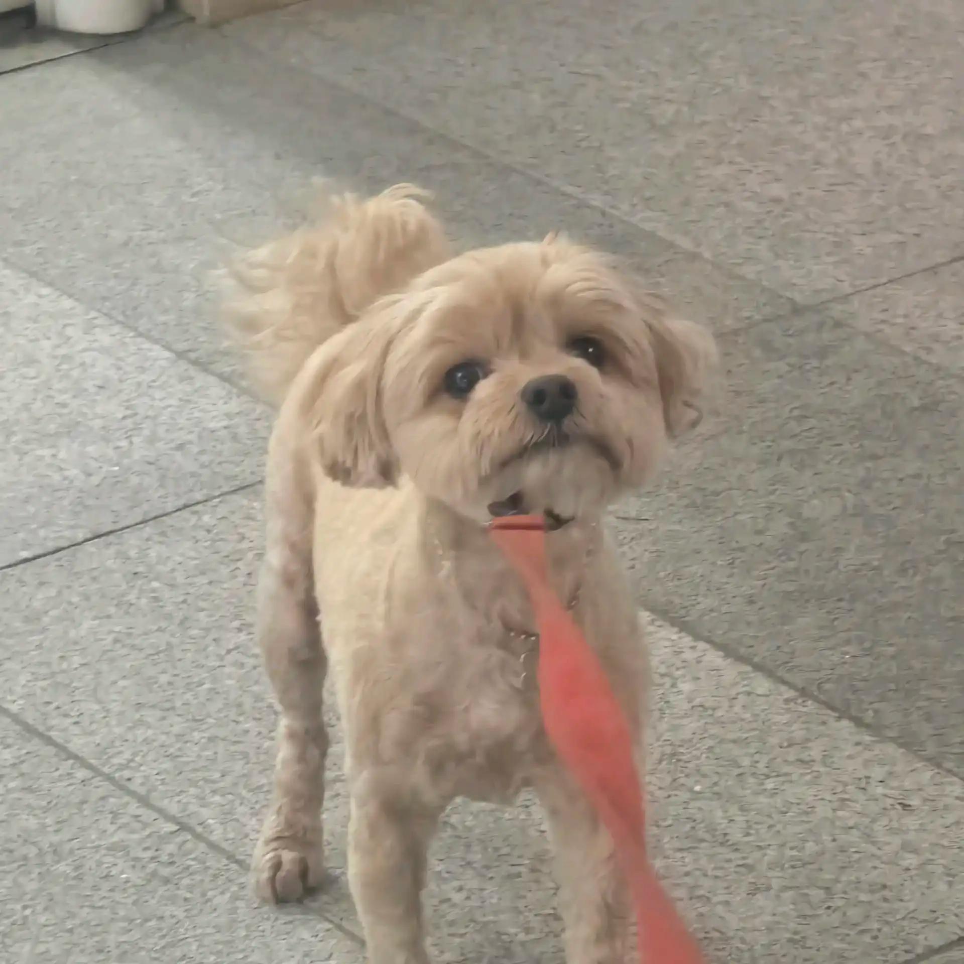 크루톡 이미지