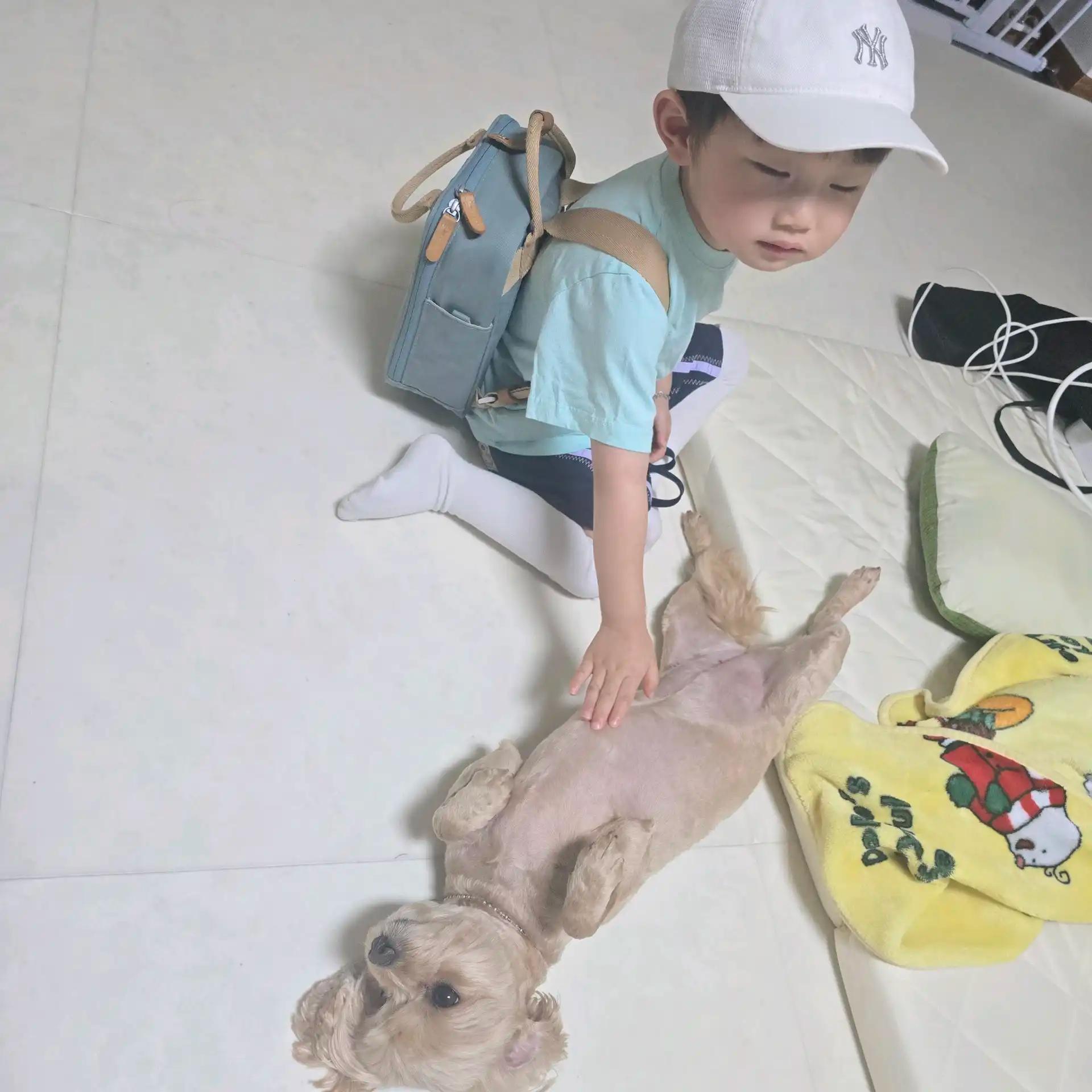 크루톡 이미지