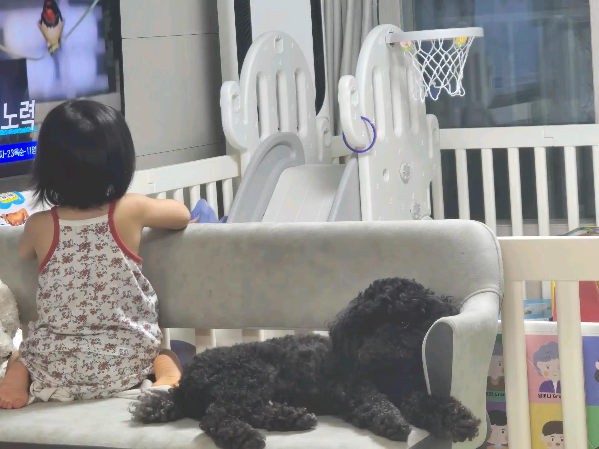 크루톡 이미지 3