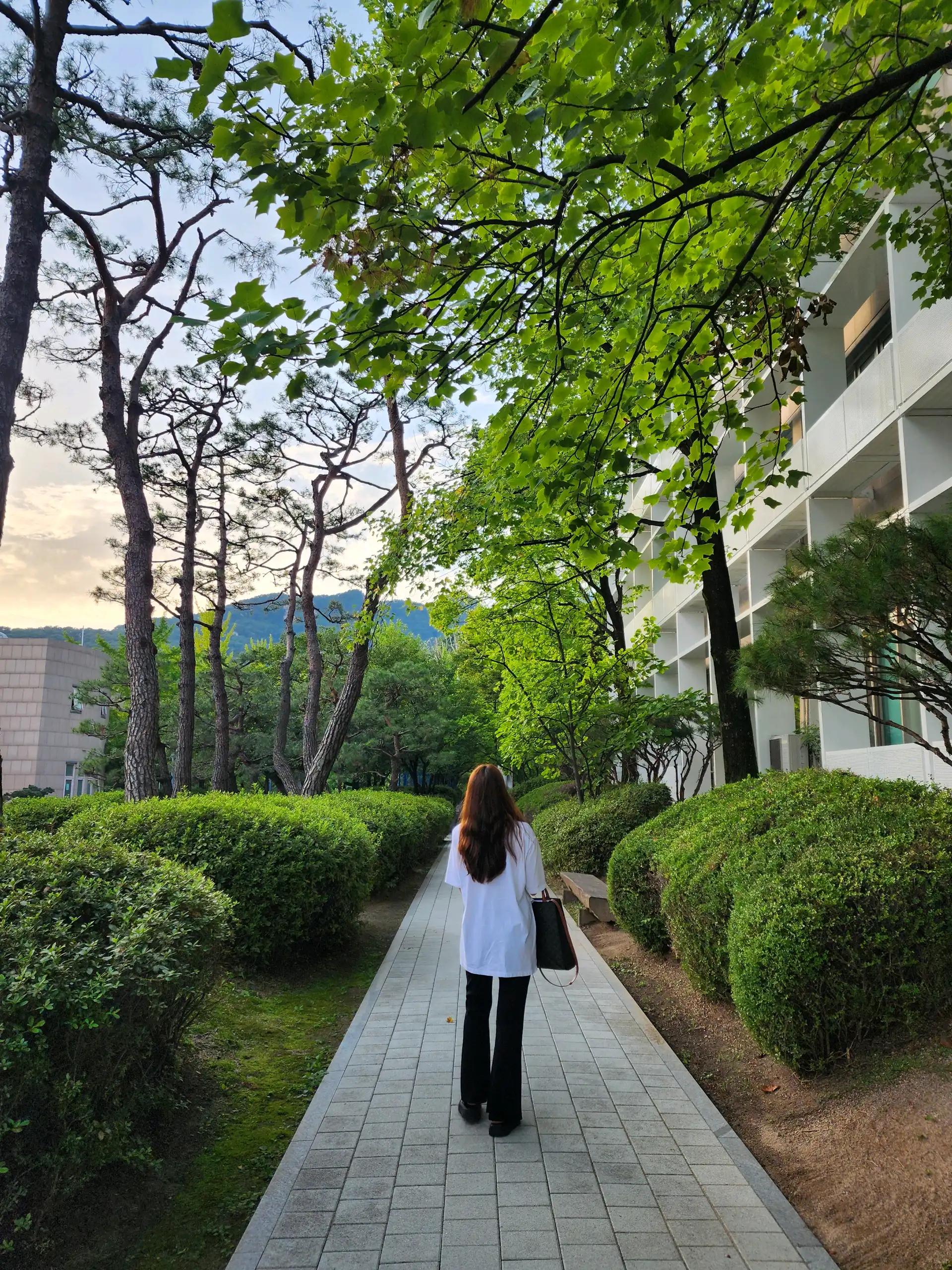 크루톡 이미지