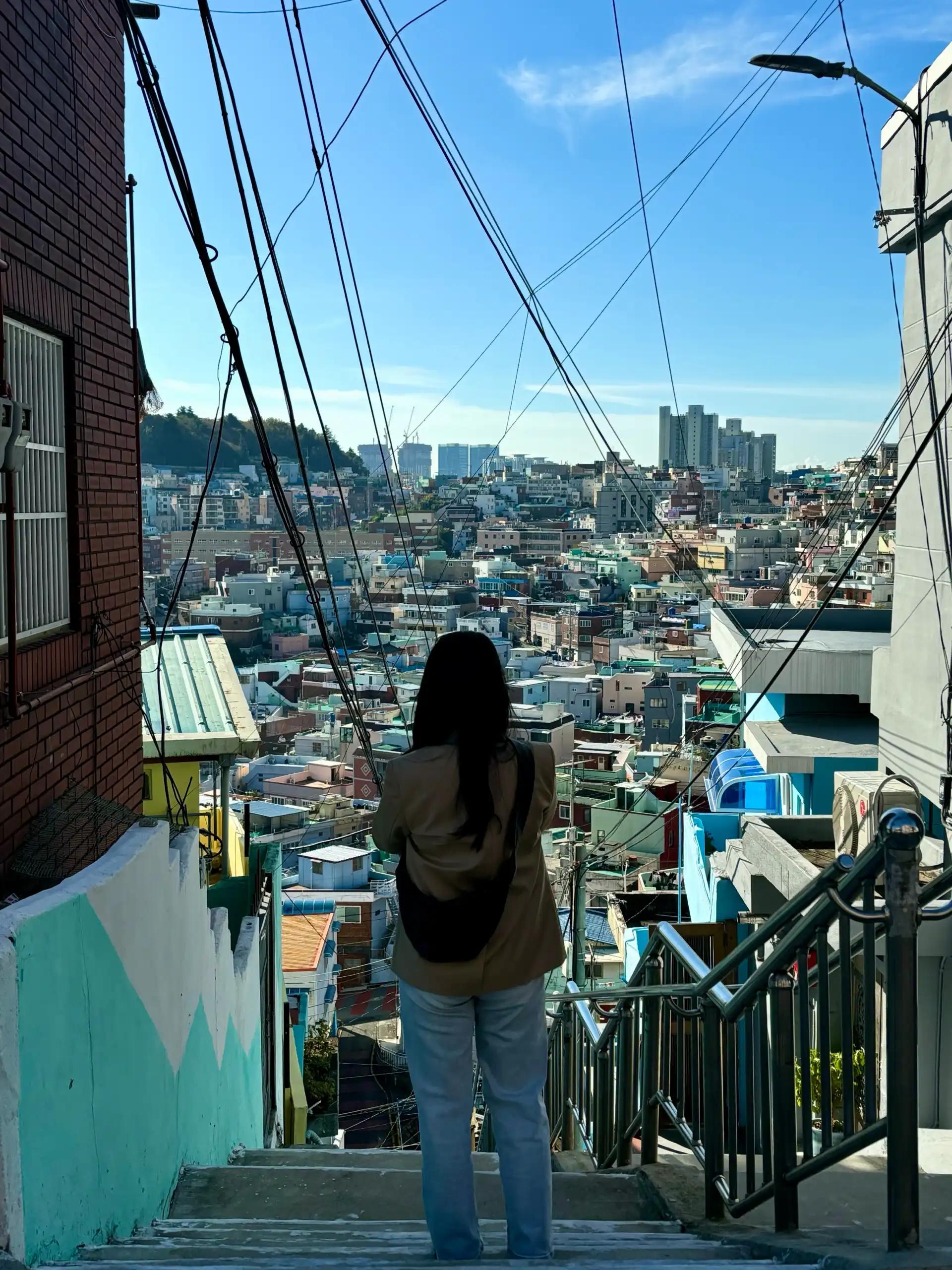 크루톡 이미지