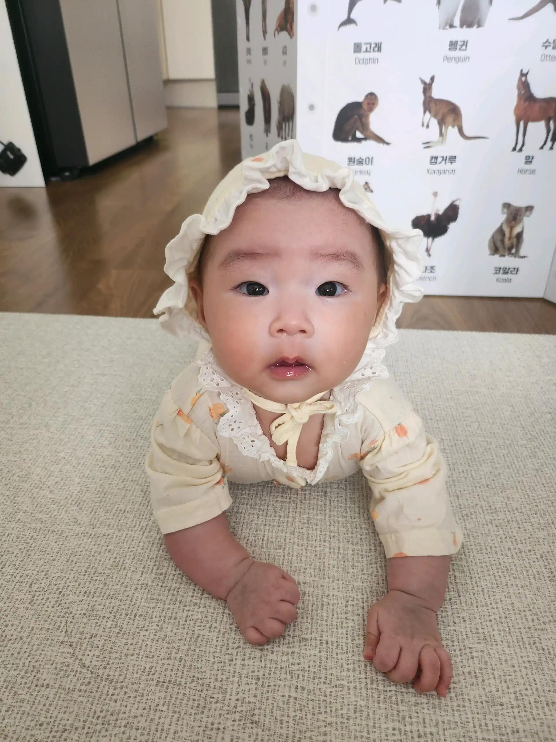크루톡 이미지