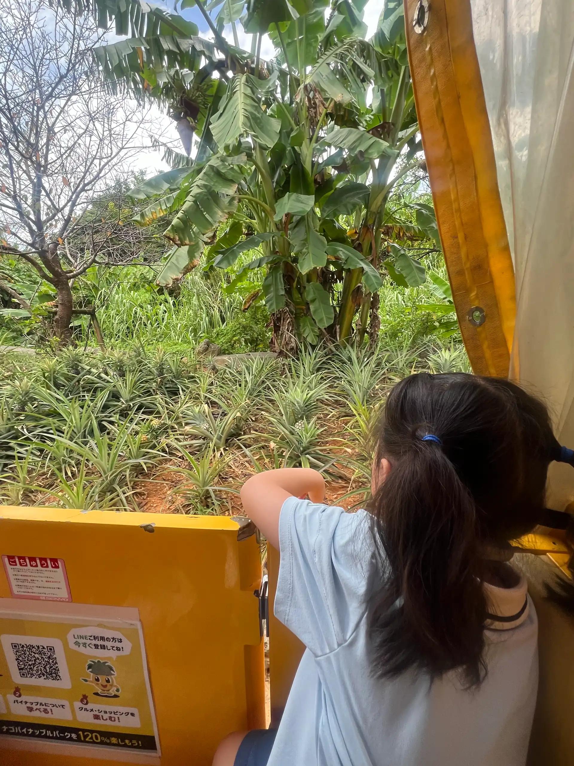 크루톡 이미지 1