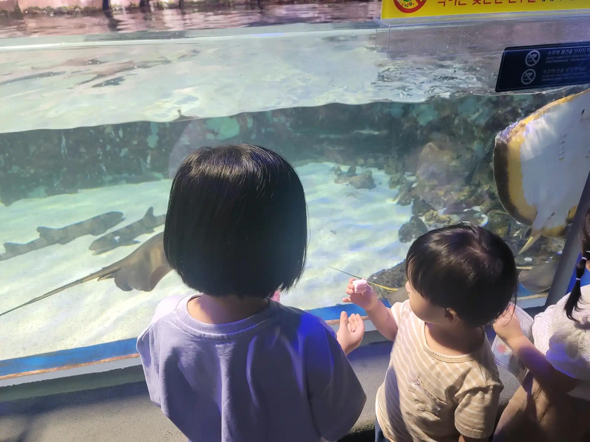 크루톡 이미지 2