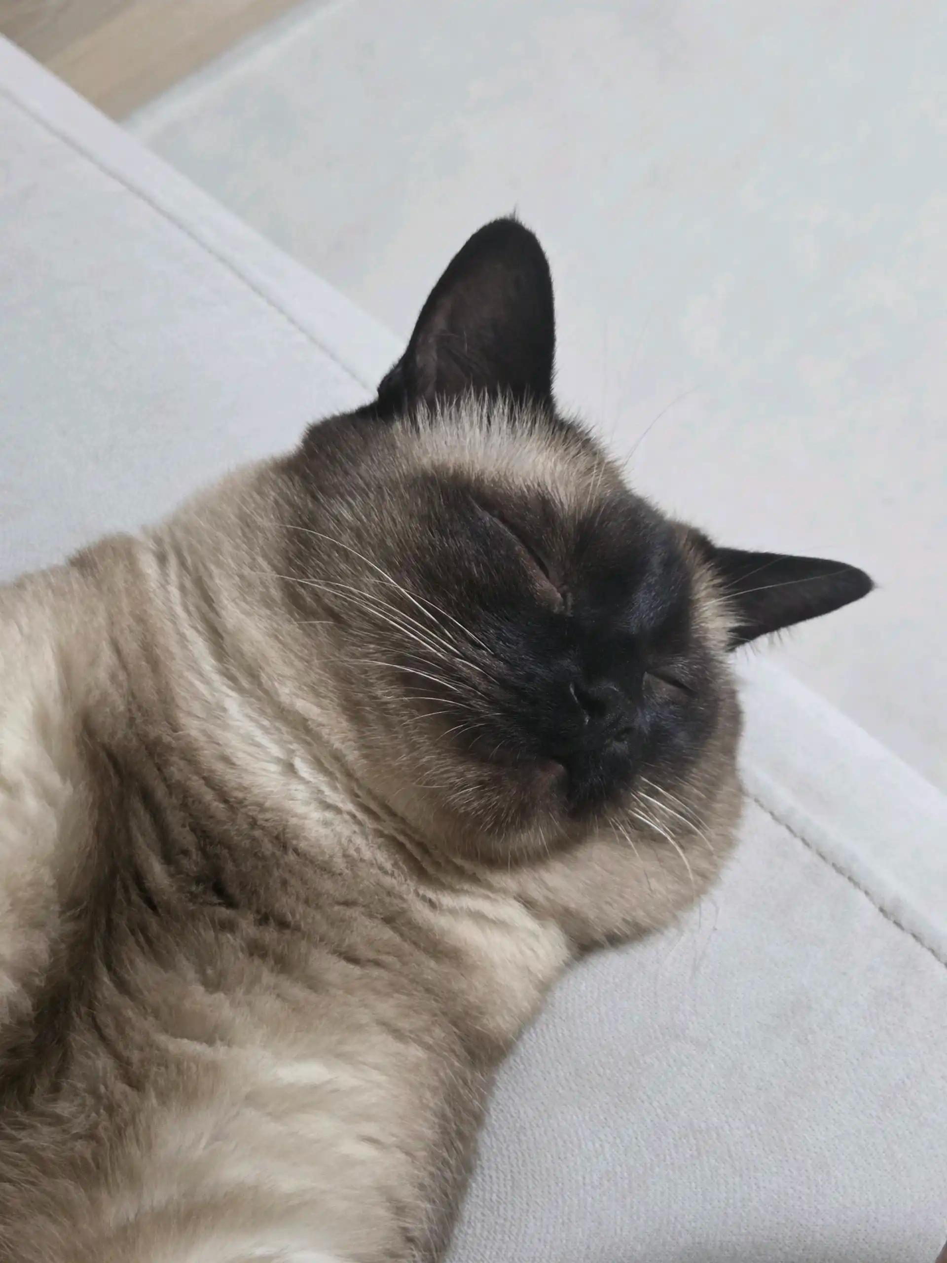 크루톡 이미지