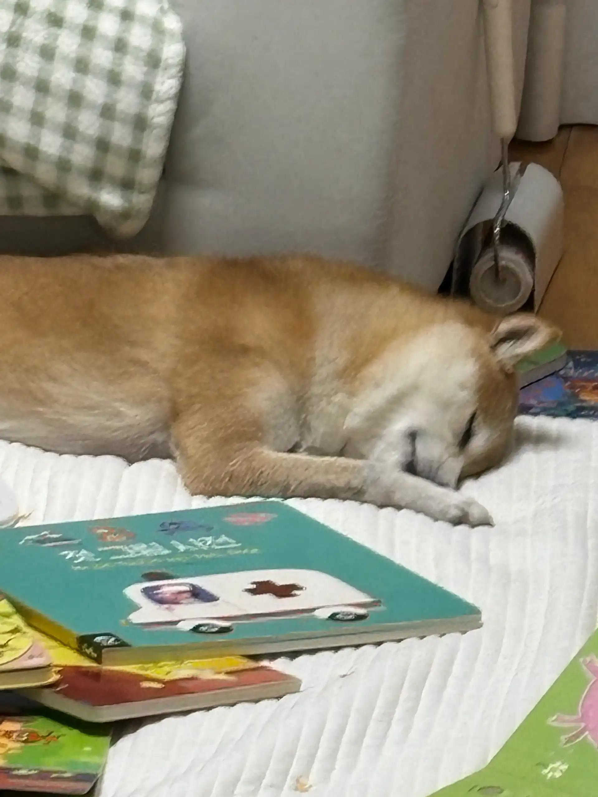 크루톡 이미지 1