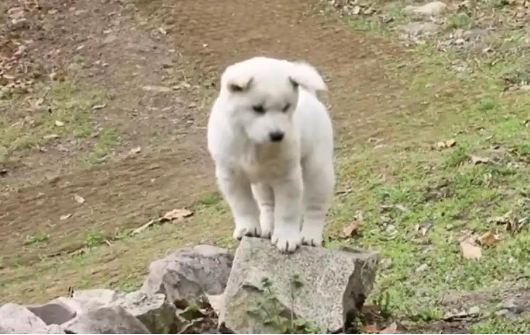 크루톡 이미지 2