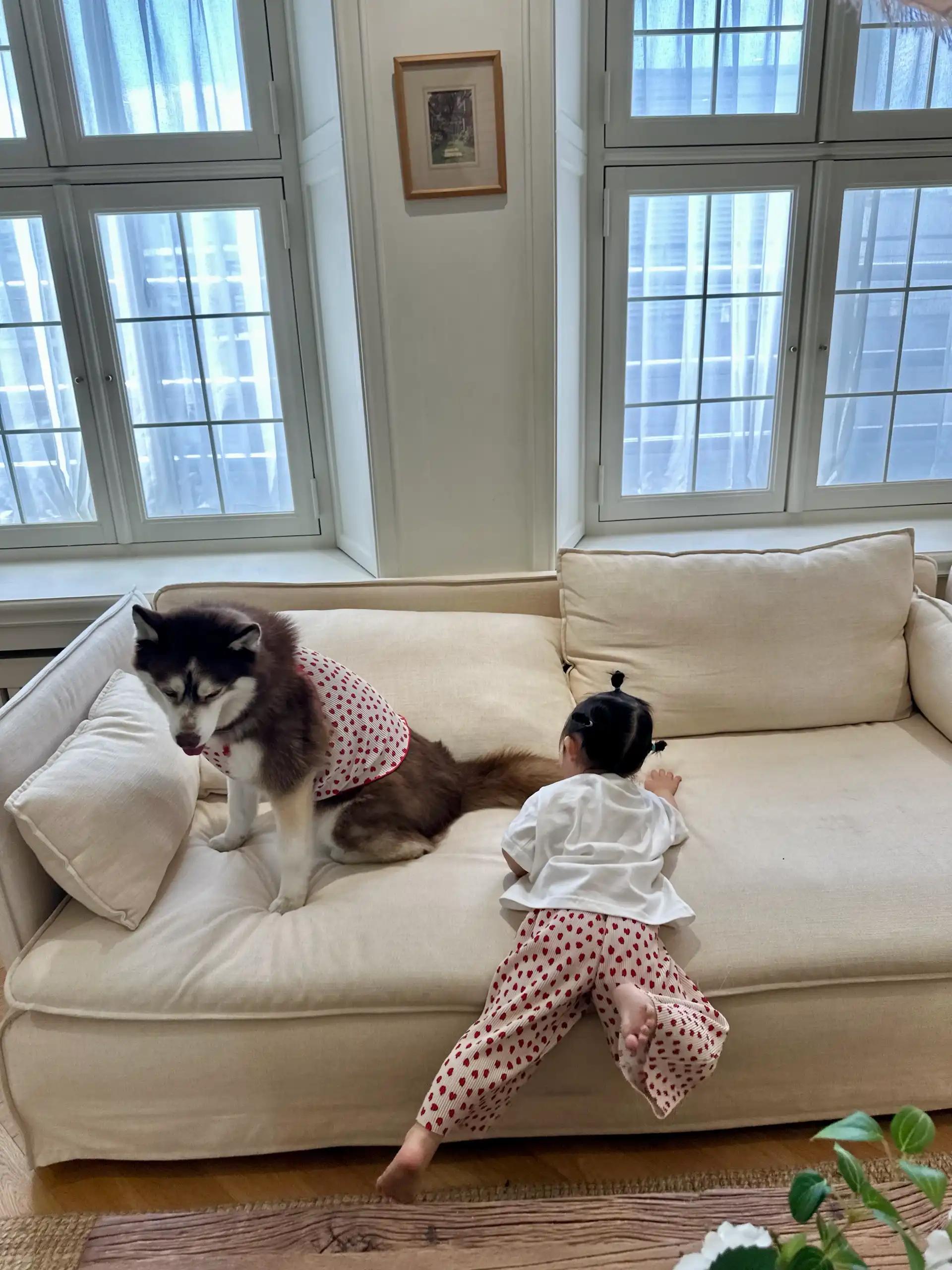 크루톡 이미지 1