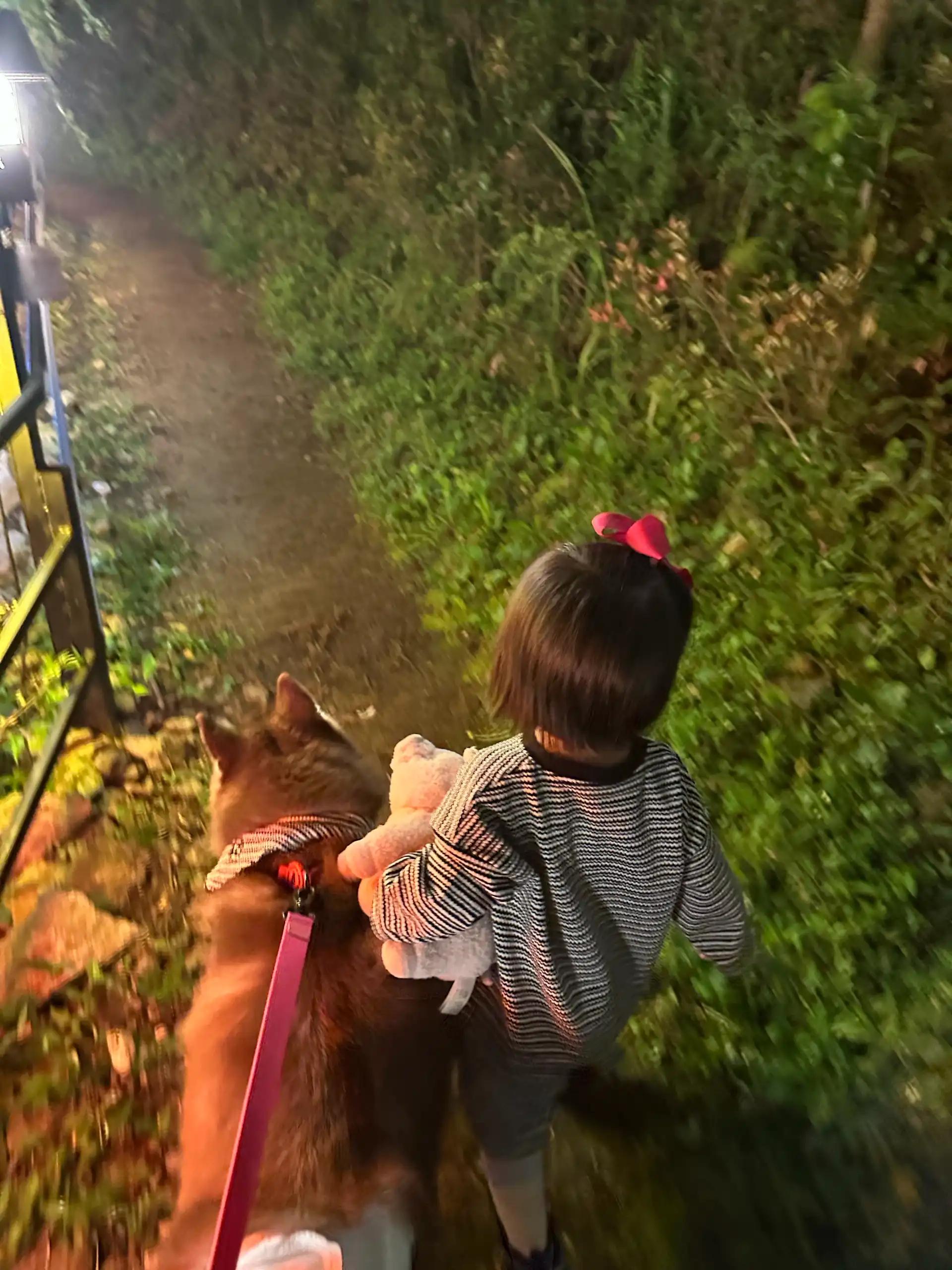 크루톡 이미지 2