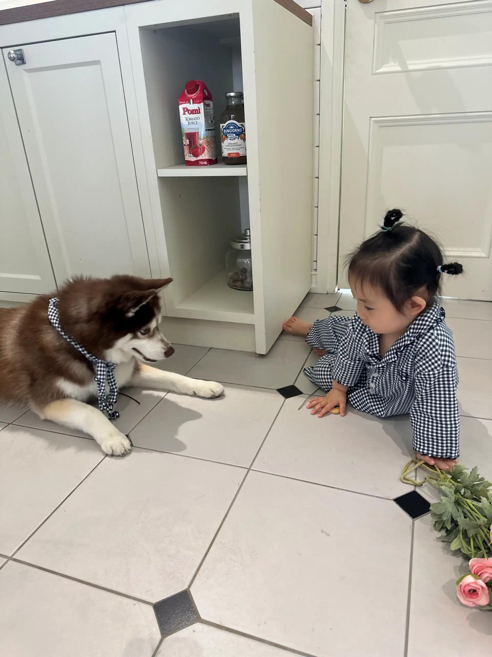 크루톡 이미지 3