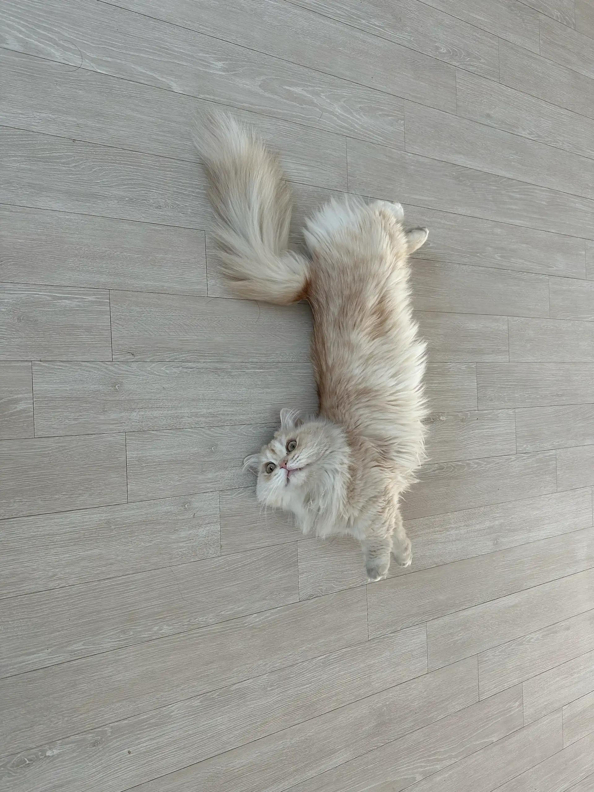 크루톡 이미지 4