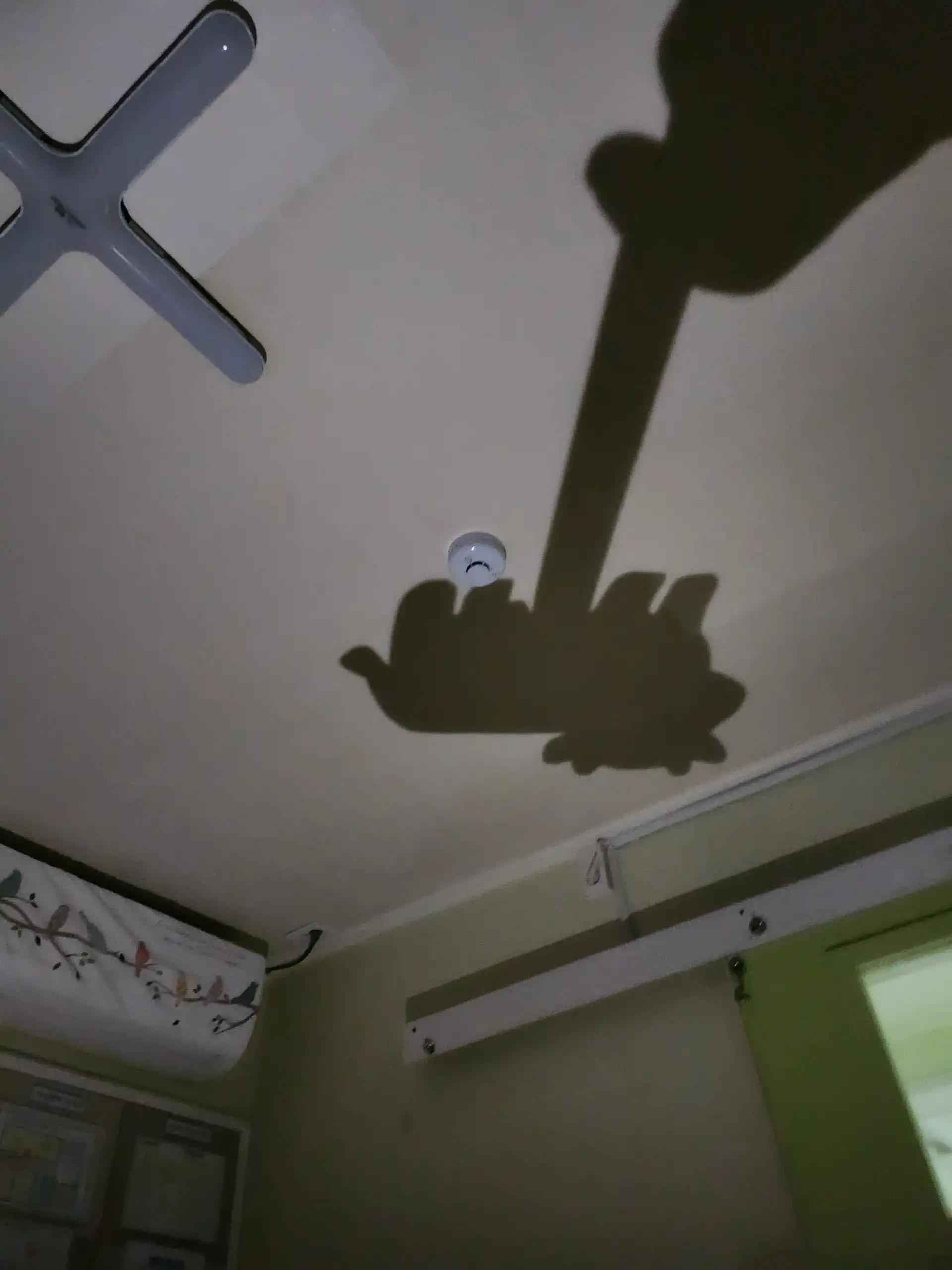 크루톡 이미지 2