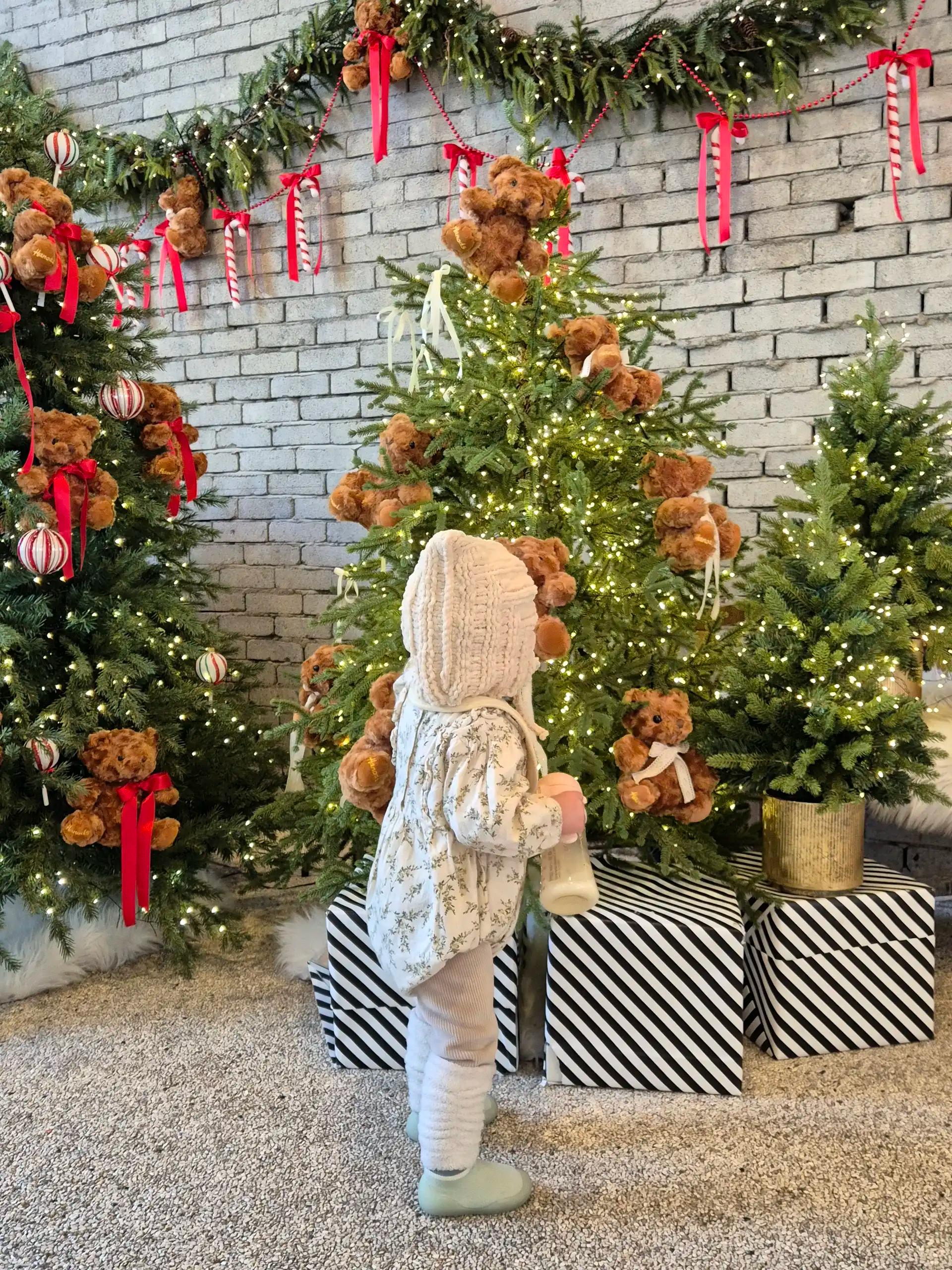 크루톡 이미지 1