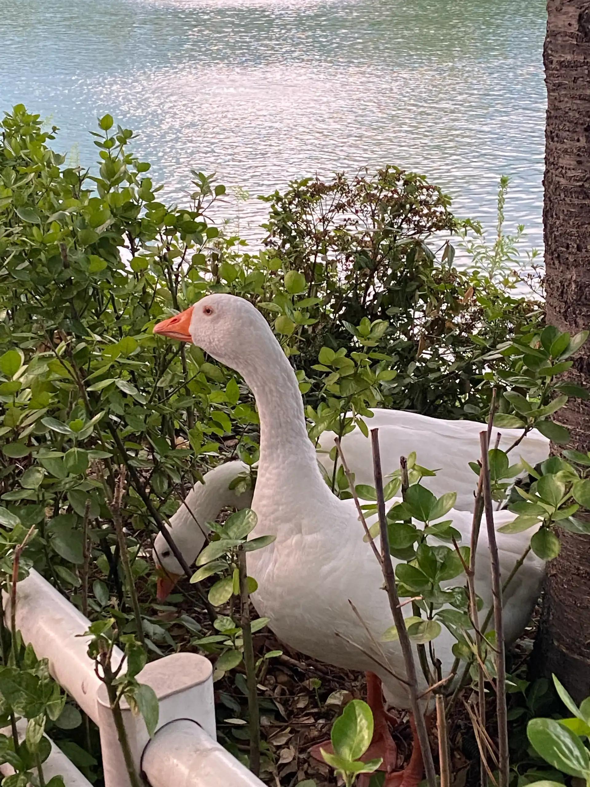 크루톡 이미지 2