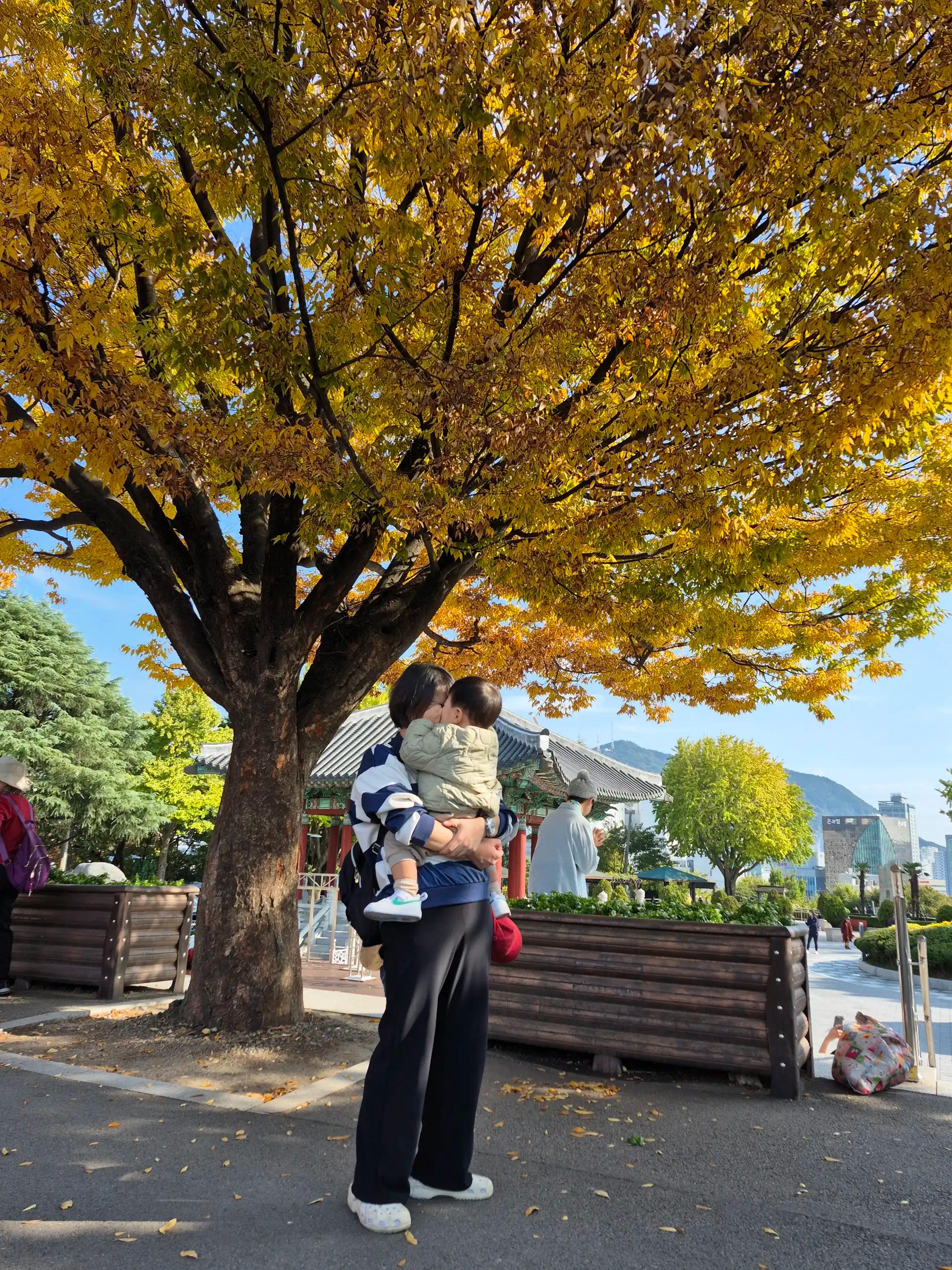 크루톡 이미지 4