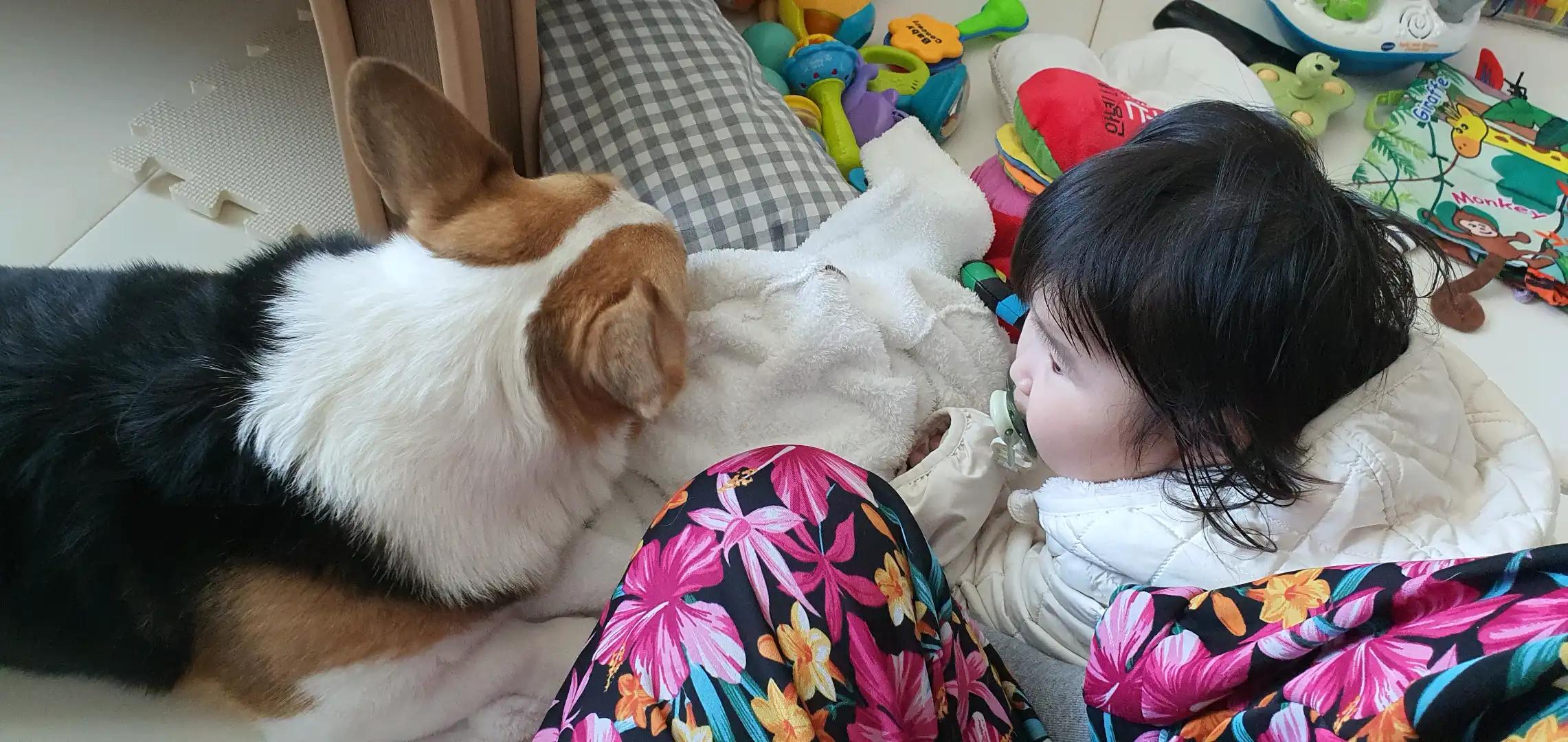 크루톡 이미지 2