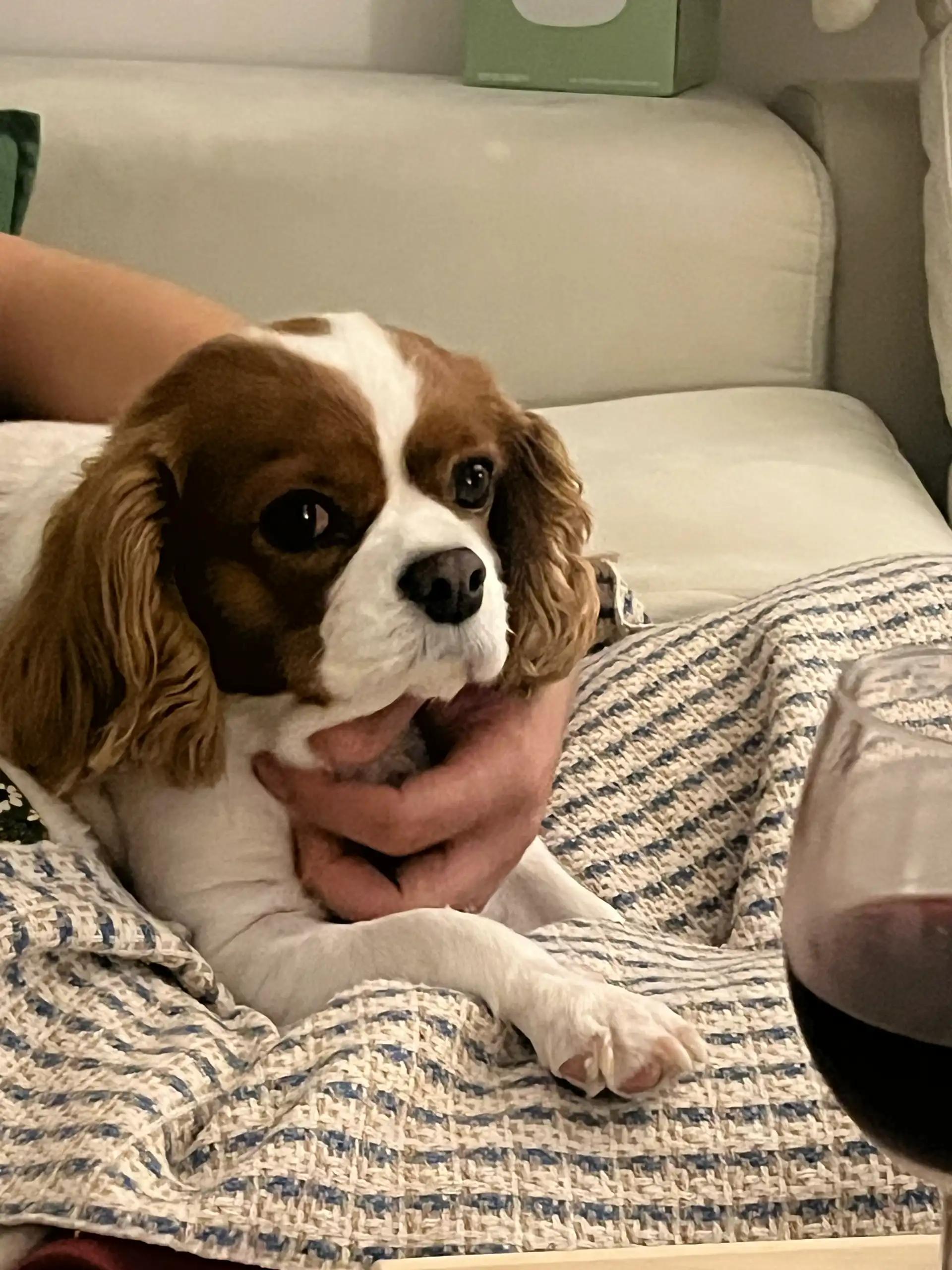 크루톡 이미지 1