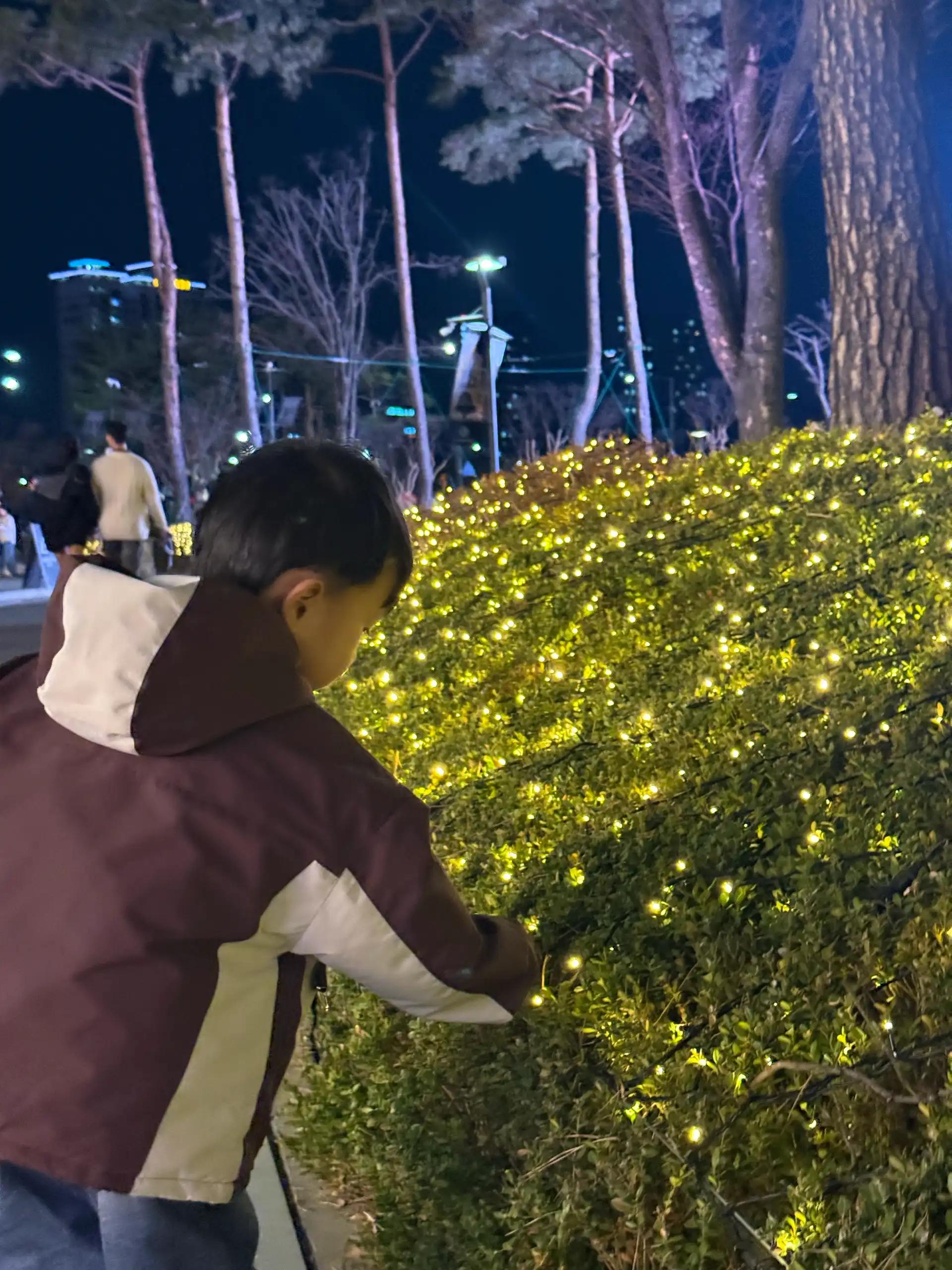 크루톡 이미지 1