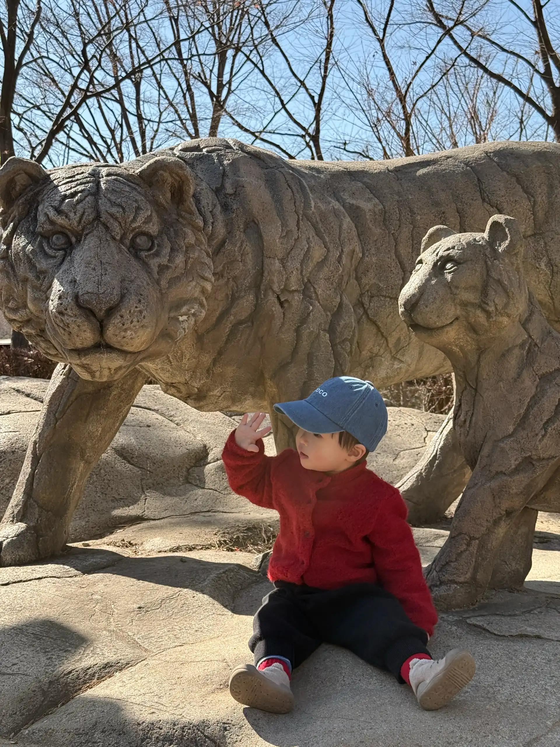 크루톡 이미지 3