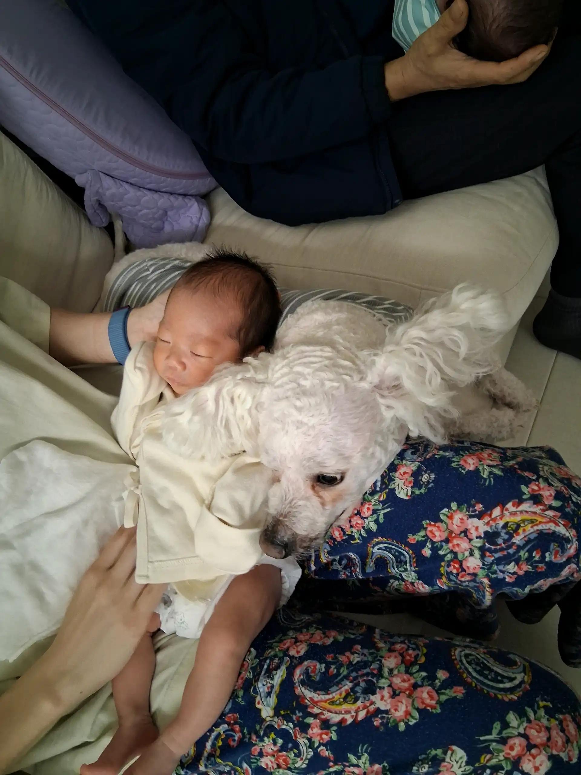 크루톡 이미지 1