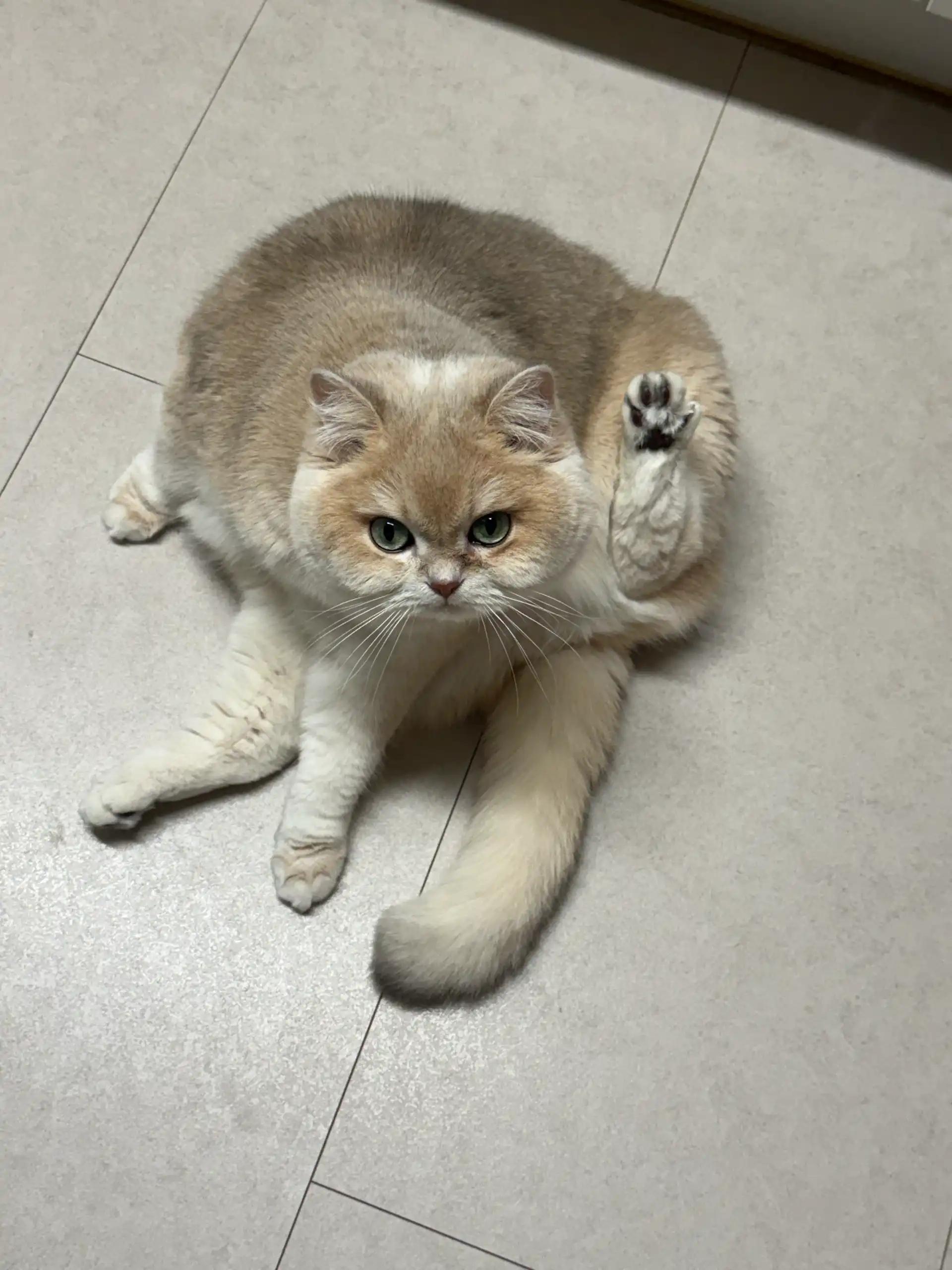 크루톡 이미지 1