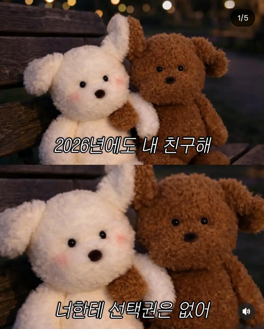 크루톡 이미지 1