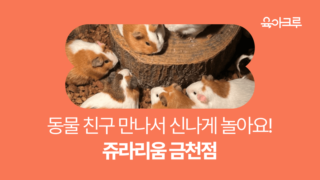 쥬라리움 금천점 요금, 운영시간, 이용 방법, 공간 소개, 푸드&카페 메뉴까지