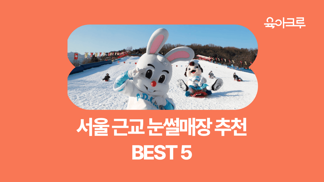 서울 근교 눈썰매장 추천 갈만한 곳 BEST5