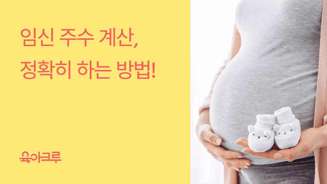 임신 주수 계산, 정확히 하는 방법 - 몇 주차예요? 아기 주차 계산하기
