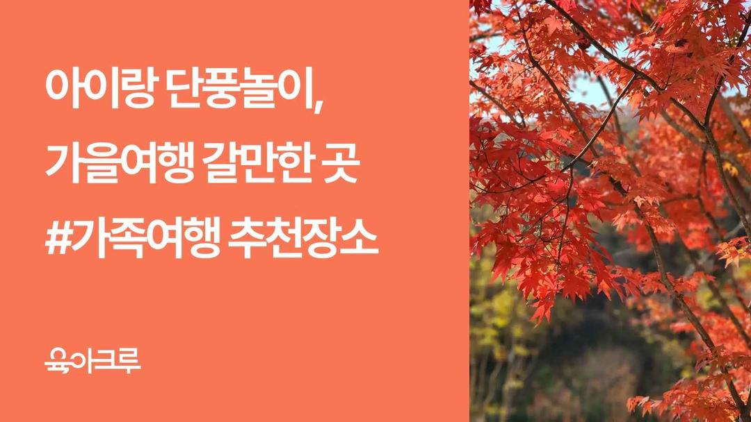 가을에 아이와 가볼만한 곳, 가족 단풍놀이 명소 TOP 5