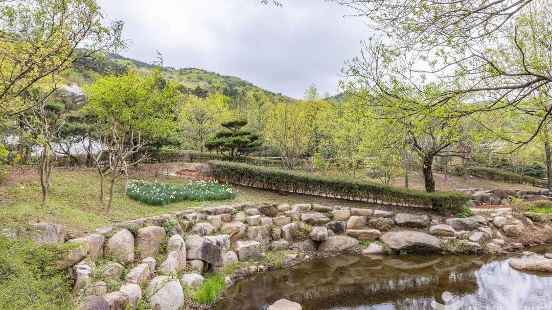 부산 수목원 5곳, 부산 가볼만한곳 화명수목원과 해운대수목원