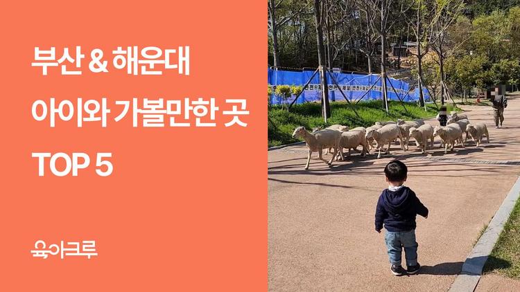 부산 아이와 가볼만한곳 TOP 5 – 아쿠아리움, 국립과학관, 해운대수목원, 송정·다대포해수욕장까지