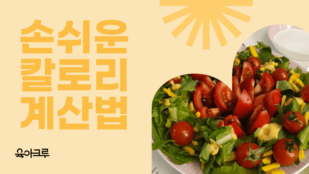음식 칼로리 쉬운 계산법 - 식품 전문가의 추천