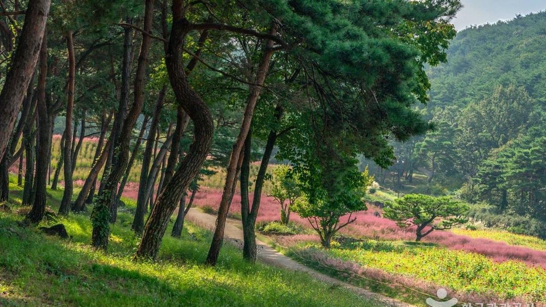 가산수피아 입장료, 칠곡 가산수피아 핑크뮬리와 공룡뜰 아이랑 가는 법