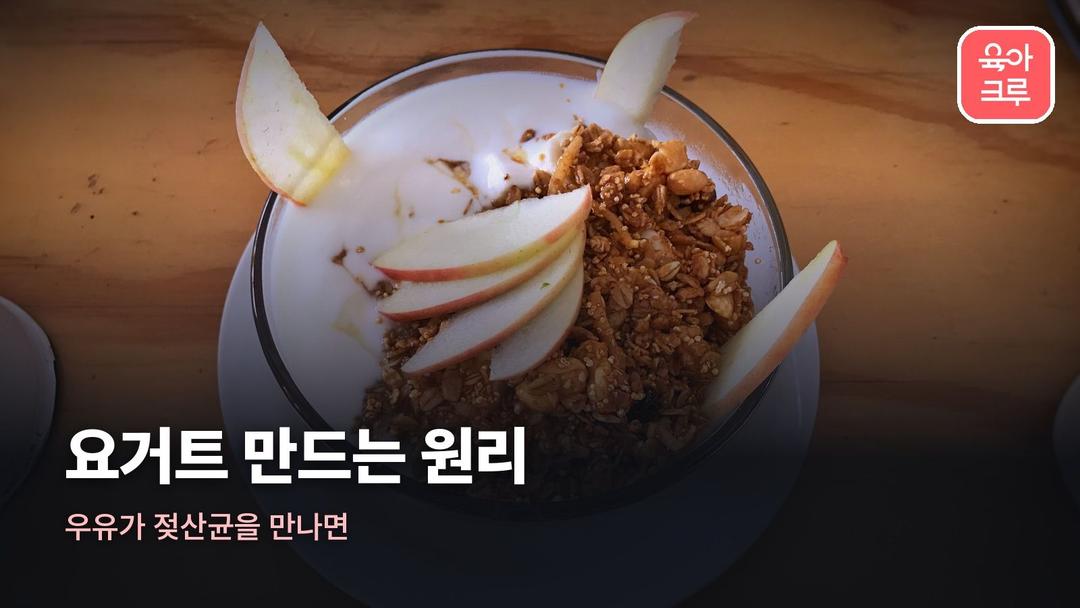 요거트 만드는 원리, 우유가 요거트가 되는 젖산 발효