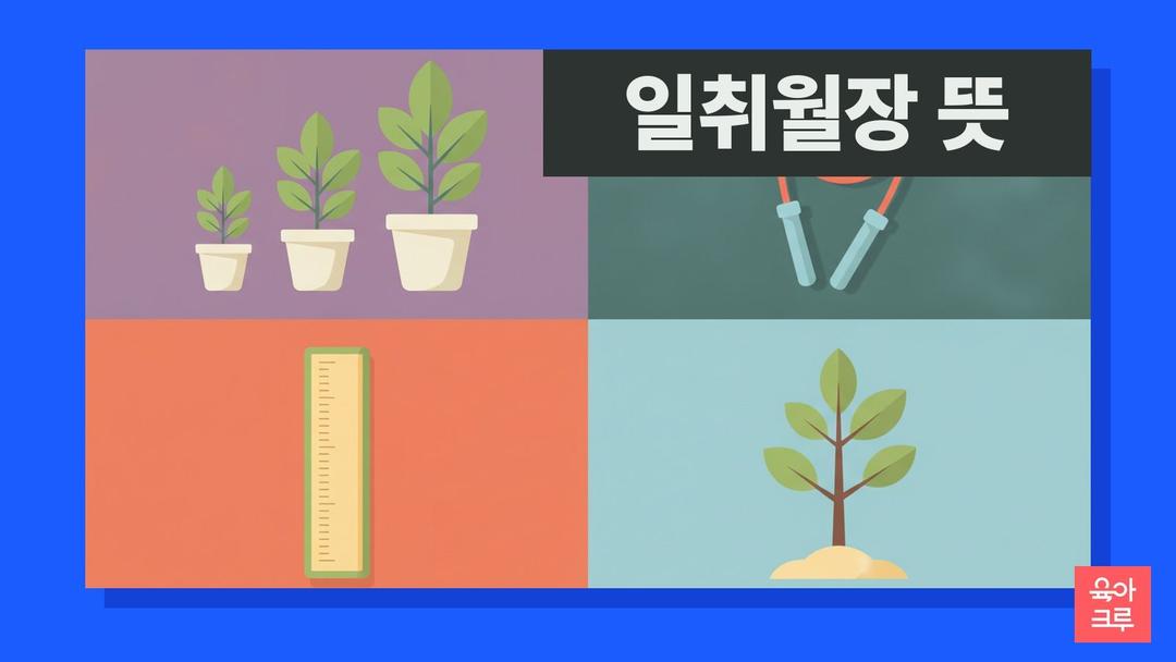 일취월장 뜻, 일취월장 한자 풀이와 비슷한 말 일진월보·예문