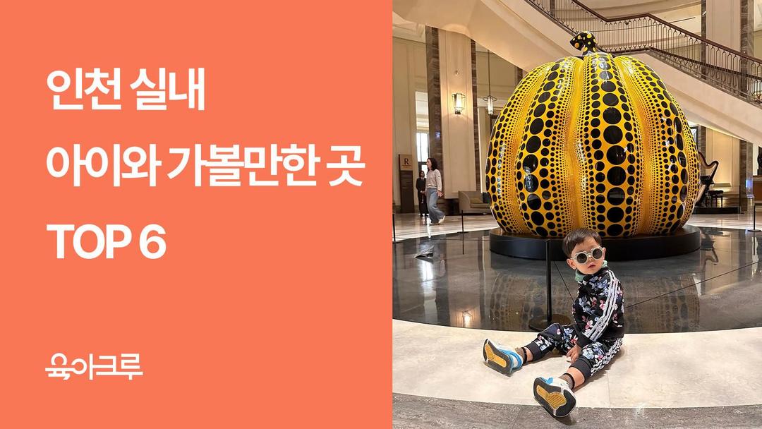 인천 실내 아이와 가볼만한곳 TOP 6 – 해양박물관, 동물카페, 롤러장까지