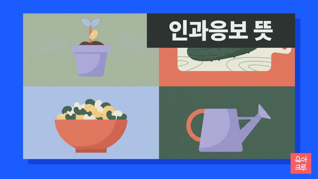 인과응보 뜻, 인과응보 한자 풀이와 사필귀정 차이·비슷한 말